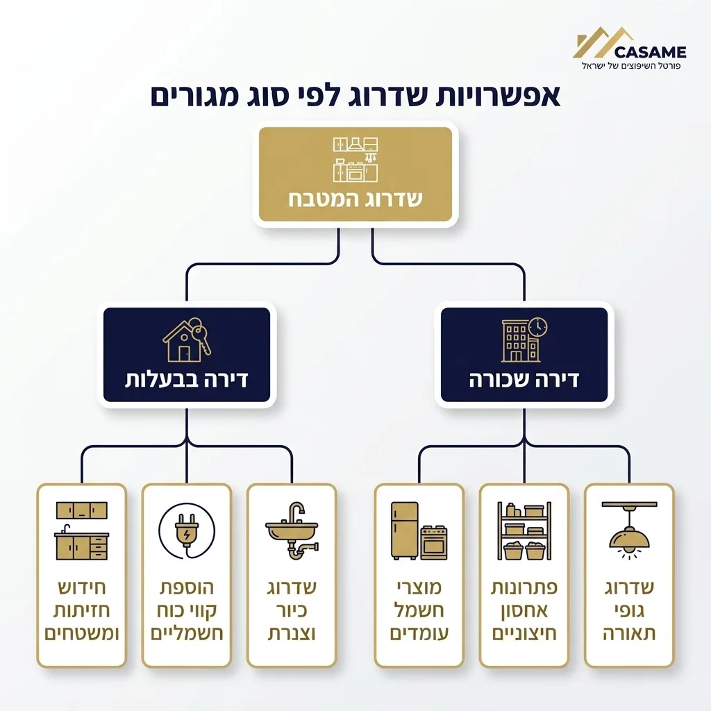 אינפוגרפיקה — אפשרויות שדרוג לפי סוג מגורים: שדרוג המטבח